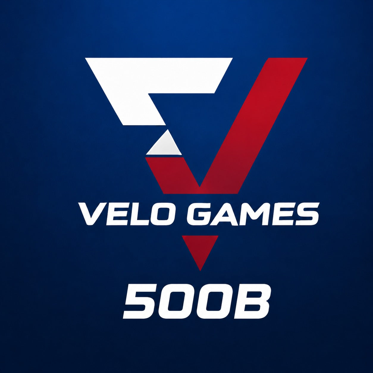 500B  Velo Chip